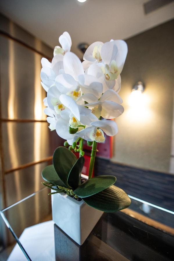 Solita Soho Hotel นิวยอร์ก ภายนอก รูปภาพ