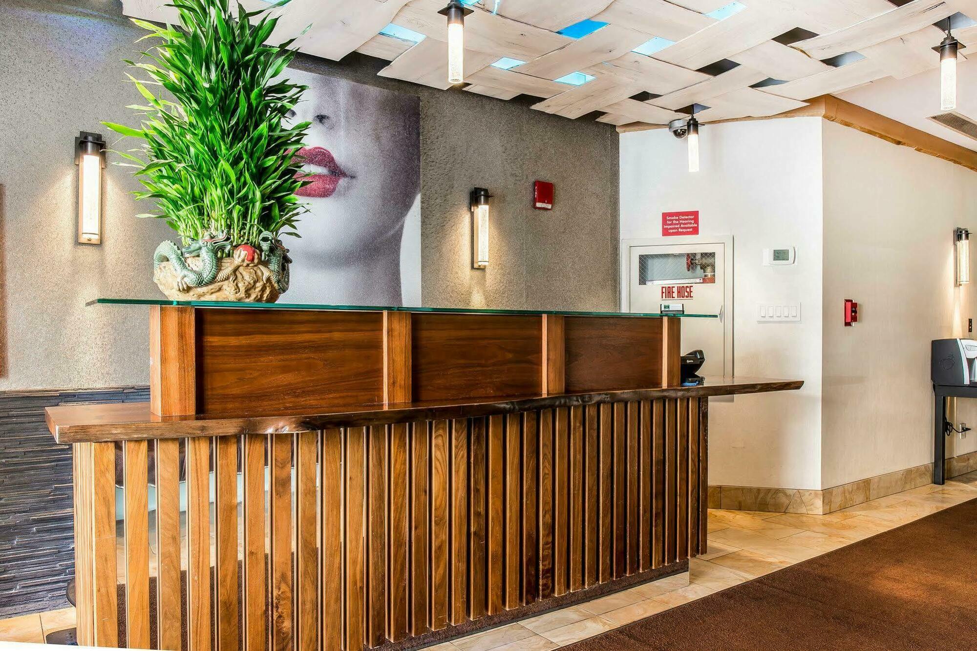 Solita Soho Hotel นิวยอร์ก ภายนอก รูปภาพ